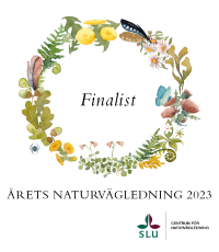 Årets NVL märke finalist med logo.png