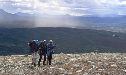 Gåsen med regnskur